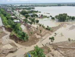 Dampak Banjir Grobogan, Pemprov Dampingi Petani Ajukan Asuransi Gagal Panen Ribuan Hektar Lahan