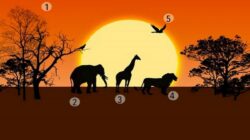 Tes Psikologi: Ungkap Masalah Utama Anda dalam Hidup dari Apa yang Pertama Kali Menarik Perhatian Anda di Savana Afrika