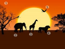 Tes Psikologi: Ungkap Masalah Utama Anda dalam Hidup dari Apa yang Pertama Kali Menarik Perhatian Anda di Savana Afrika