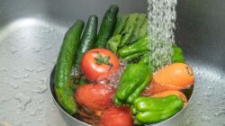 Berikut Ini 4 Makanan Super untuk Membangun Imunitas Kuat di Musim Hujan