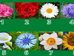 Tes Kepribadian: Piling Bunga Favorit dan Temukan Kekuatan Anda