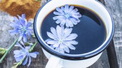 Gantilah Kopi Biasa Anda dengan Kopi Chicory dan Gandakan Manfaatnya!