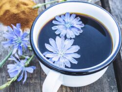 Gantilah Kopi Biasa Anda dengan Kopi Chicory dan Gandakan Manfaatnya!