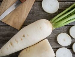 Jangan Lupakan Lobak di Musim Dingin, Ini 4 Manfaat Kesehatannya