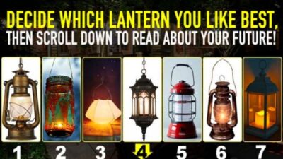 Tes Psikologi: Terangi Jalan di Depan Anda dengan Memilih Lentera yang Menarik Perhatian