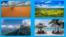 Tes Kepribadian: Tes Mengejutkan Ini akan Mengungkap Kebenaran tentang Anda