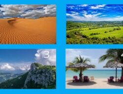 Tes Kepribadian: Tes Mengejutkan Ini akan Mengungkap Kebenaran tentang Anda