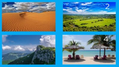 Tes Kepribadian: Tes Mengejutkan Ini akan Mengungkap Kebenaran tentang Anda