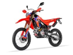 Sepasang Honda CRF300L Edisi Khusus Terungkap
