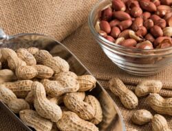 Jangan Minum Air Setelah Makan Kacang Tanah: Mitos atau Fakta?