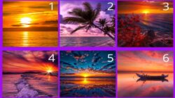 Tes Kepribadian: Pilih Satu Gambar dan Cari Tahu Tipe Kepribadian Anda