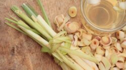 Dari Sup hingga Salad: Berikut Ini 5 Cara Memanfaatkan Serai Secara Maksimal