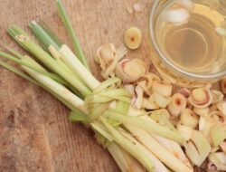 Dari Sup hingga Salad: Berikut Ini 5 Cara Memanfaatkan Serai Secara Maksimal