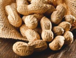Makan Kacang Tanah Terlalu Banyak? Inilah Mengapa Anda Perlu Berhenti Sekarang