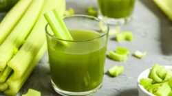 Rasakan Manfaatnya, Jus Seledri adalah Rahasia di Balik Kulit Bercahaya dan Kebugaran