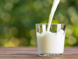 Apakah Susu Lebih Baik untuk Kesehatan Anda Saat Panas atau Dingin? Mari Kita Cari Tahu