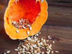 Biji Labu Menawarkan Banyak Manfaat Bagi Wanita dengan PCOS