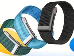 Rogbid Luncurkan Loop, Gelang Kesehatan Tanpa Layar dengan EKG Canggih dan Baterai 15 Hari