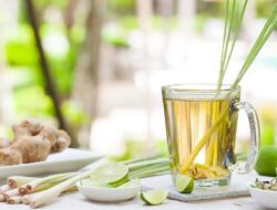 Temui Teh Serai, Minuman Andalan Anda untuk Berbagai Masalah Kesehatan