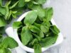 Tahukah Anda, Daun Mint Memiliki 8 Manfaat Kesehatan yang Luar Biasa?
