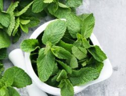 Tahukah Anda, Daun Mint Memiliki 8 Manfaat Kesehatan yang Luar Biasa?