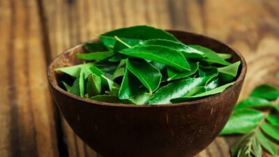 Daun Kari Bukan Hanya Soal Rasa, Tetapi Juga Membantu Menurunkan Berat Badan!