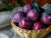 Buah Plum Dapat Meringankan Masalah Sembelit Anda, dan Juga Meningkatkan Kesehatan Tulang!