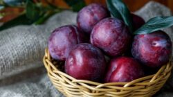 Buah Plum Dapat Meringankan Masalah Sembelit Anda, dan Juga Meningkatkan Kesehatan Tulang!