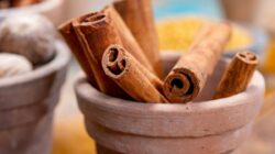 Rempah-rempah dan Bumbu Memiliki Kekuatan Magis untuk Mengatasi Gejala PCOS Anda