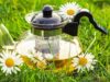 Berikut Rahasia Bagaimana Teh Chamomile Dapat Meningkatkan Kesehatan Mental Anda