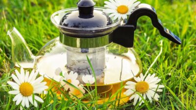 Berikut Rahasia Bagaimana Teh Chamomile Dapat Meningkatkan Kesehatan Mental Anda