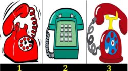 Tes Psikologi: Temukan Kabar Apa yang Menanti Anda di Masa Depan dengan Memilih Telepon