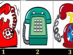 Tes Psikologi: Temukan Kabar Apa yang Menanti Anda di Masa Depan dengan Memilih Telepon