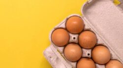 Apakah Protein Unggas Benar-benar Sepadan dengan Popularitasnya? Mari Kita Cari Tahu