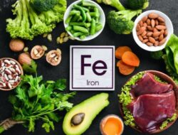 Merasa Lesu di Musim Hujan? 6 Makanan Kaya Zat Besi Ini Dapat Meningkatkan Energi Anda