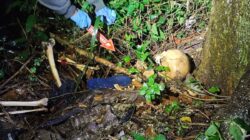 Penjelasan Polisi Terkait Penemuan Kerangka Manusia di Kartasura Sukoharjo