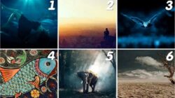 Tes Psikologi: Pilih Kartu dan Ketahui Misi Apa yang Takdir Siapkan untuk Anda