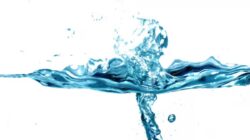 Mari Kita Mengenal 2 Jenis Najis Menurut Fikih