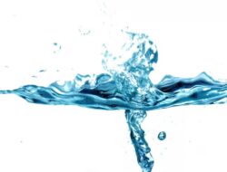 Mari Kita Mengenal 2 Jenis Najis Menurut Fikih