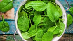 Tambahkan 5 Makanan Ini Kedalam diet Anda untuk Menjaga Kadar Hemoglobin Tetap Stabil