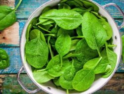 Tambahkan 5 Makanan Ini Kedalam diet Anda untuk Menjaga Kadar Hemoglobin Tetap Stabil