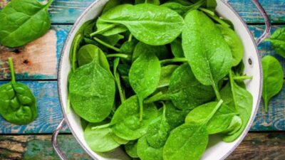 Tambahkan 5 Makanan Ini Kedalam diet Anda untuk Menjaga Kadar Hemoglobin Tetap Stabil