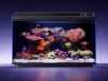 Dangbei Luncurkan Smart Fish Tank 2S Ultra dengan Perawatan Berbasis AI dan Pencahayaan Spektrum Penuh