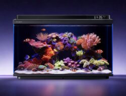 Dangbei Luncurkan Smart Fish Tank 2S Ultra dengan Perawatan Berbasis AI dan Pencahayaan Spektrum Penuh
