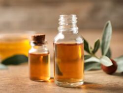 Perhatikan 3 Efek Samping Minyak Jojoba Ini Sebelum Anda Mulai Menggunakannya