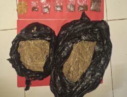 Peredaran Ganja dan Tembakau Sintetis Berhasil Diungkap Polres Sukoharjo, Satu Pengedar Diamankan