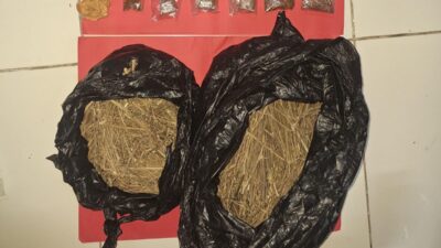 Peredaran Ganja dan Tembakau Sintetis Berhasil Diungkap Polres Sukoharjo, Satu Pengedar Diamankan