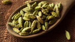 7 Alasan Berbasis Sains Mengapa Kapulaga yang Baik Hati Perlu Kembali dalam Diet Anda