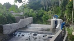 Perkuat Produksi Pangan di Bali, Kementerian PU Rehabilitasi Jaringan Irigasi