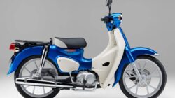 Memperkenalkan Honda Super Cub 110/Pro 2026, Cek Spesifikasi dan Harganya